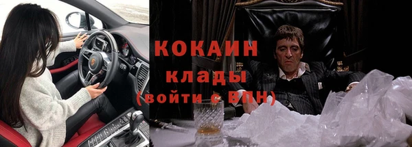 дмт Богородицк