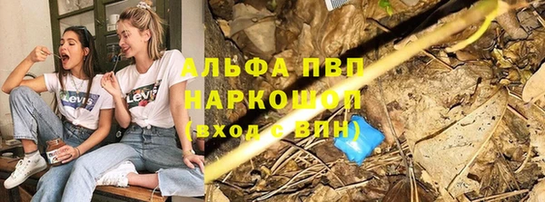 соль ск Бородино