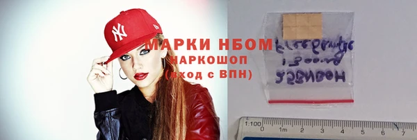 2c-b Инсар