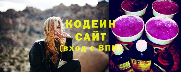 гашик Верея
