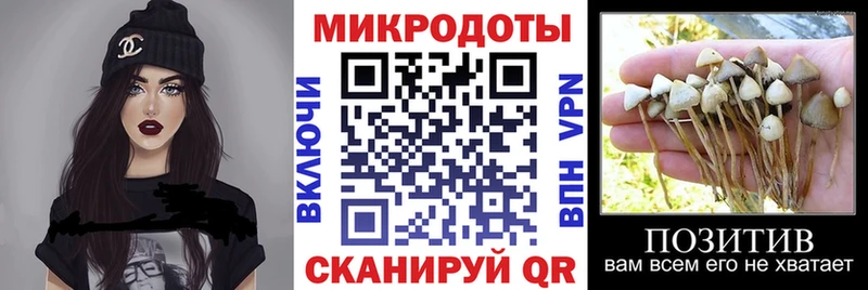 Галлюциногенные грибы ЛСД  дарнет шоп  Бор 